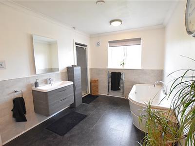 Picture 20